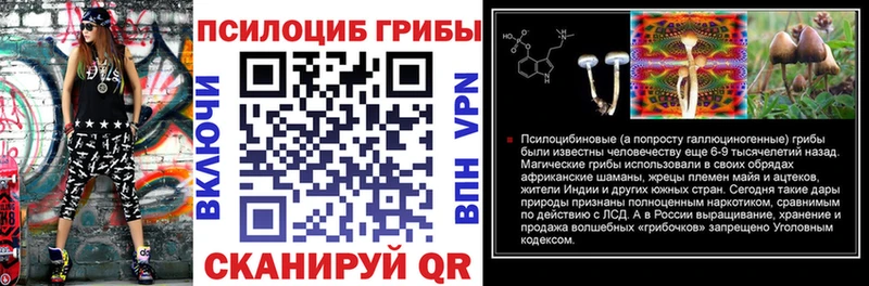 закладка  Грозный  Галлюциногенные грибы ЛСД 